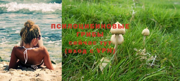 прущая мука Алзамай