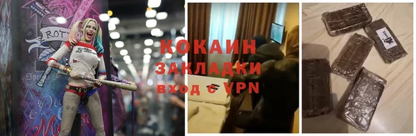 твердый Алексин